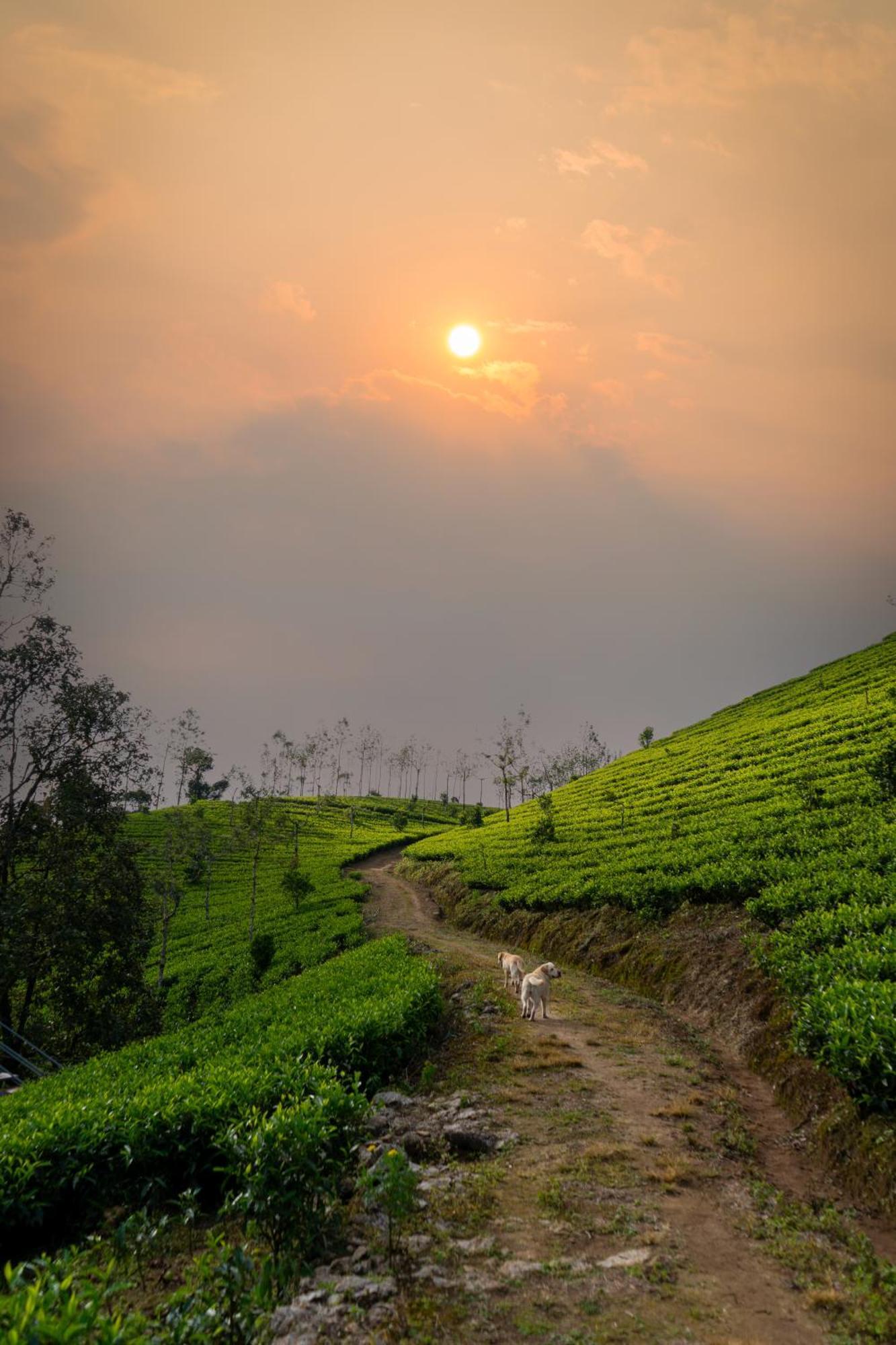 Camelot Resort Munnar Exteriér fotografie